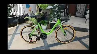 Sepeda Minion - The Green Minions - Phoenix Frame 24 Ex. Singapore