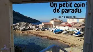 La BD singes - Histoire avec l'accent de #Marseille