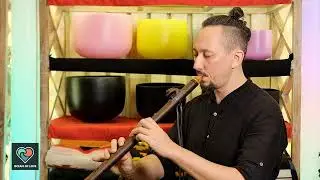 Premium Single Flute Rosewood Abalone Shell - Em (FLT-024)
