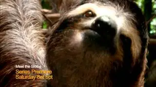MEET THE SLOTHS is coming to Canada on the 23rd November!