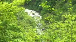 Upper Machakhlistskali river - top view