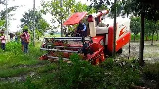 LOVOL/Machine/Rice cutting/farmingtech/RICE/paddy cutting