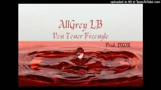 AllGrey - Vest Tester Freestyle (Audio)