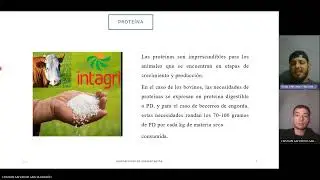 Sistema de Alimentacion para rumiantes