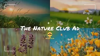 The Nature Club Trailer | The Nature Club |