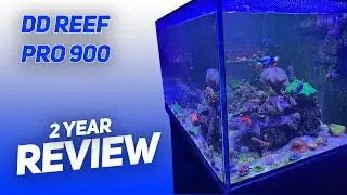 DD Reef Pro 900: 2 year Review