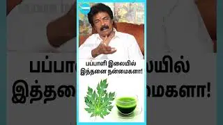 பப்பாளியில் இவ்ளோ நன்மைகளா - Jaguar Thangam