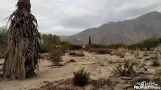 Borrego Springs, CA 92004