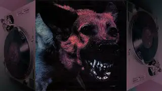 Protomartyr - Under Color of Official Right (2014) *Vinyl Rip* Full Album Stream