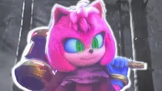 A Theoretical Year of AMY