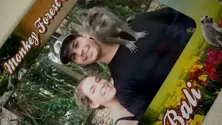 Zoo e Sangeh monkey forest 🐒