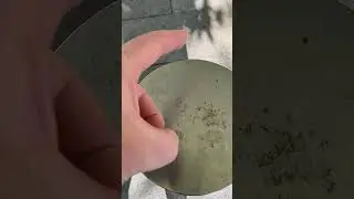 Tuned Bollard, slightly sharp or flat?