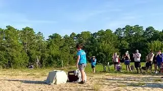 Juvenile Red Shoulder Hawks Released by Skywatch Bird Rescue