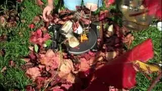 The Four Seasons: Autumn (Suite for Turntable) - Clinton Green