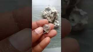 🧐🐳White Ambergris Stone 3(E.Rare)🐳From India 🇮🇳#shorts #india #ambergris #gems #nature#whale #fossil