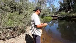Sight fishing for carp.