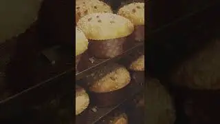 Dolceamaro video panettone