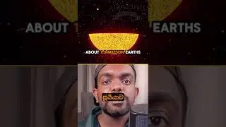 මේවා අපි හිතුවට වඩා විශාළයි 😳