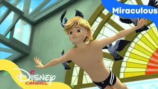 Landbruksmessen | Familien Green i storby'n | Disney Channel Norge