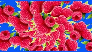 animated Raspberry fruit green screen Raspberry harmonic green screen Free