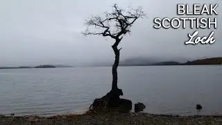 Bleak Scottish Loch | 3 Hours of Relaxing Lapping Water Sounds