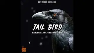 Dancehall Riddim Instrumental [ Jail bird ]2025 | Jquan / Jamal Type Beat | Prod by Brandizy Records
