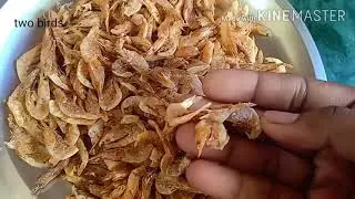 how to clean dried prawn in tamil/#prawncleaning /#eralclean/ #prawnclean /#driedprawn /#eraltips 