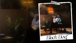[FREE] Slow Blues Type Beat 2025 - 