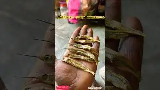 Dry Fish curry with dried knife nose #fish #foodie #dryfish #seafood #viral #dailyvlog