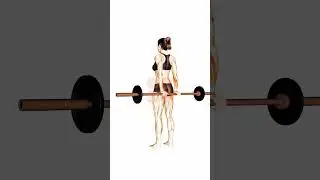 Barbell Standing Back Wrist Curl: How to Do It Properly and Build Stronger Wrists