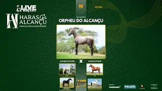 ORPHEU DO ALCAN&Ccedil;U - II LIVE ALCAN&Ccedil;U 