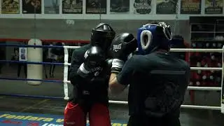 Arash Usmanee sparring with Custio Clayton ( 03-03-2016 )