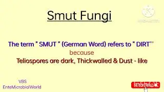 Smut Fungi @EnteMicrobialWorld #fungus #microbiology #fungi ##biology #botany #plantpathology #vbs