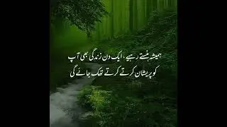Best Urdu Quotes | Urdu Islamic Quotes | Best Quotes About Life | Motivational Quotes