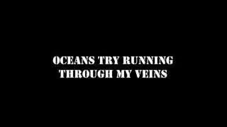 Hardwell- Nothing can hold us down (HD Lyrics)