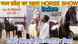 मध्य प्रदेश में पहली बार हुआ HORSE SHOW । भारत के अलग अलग राज्यो से पहुंचे घोड़े #horseshowindore 