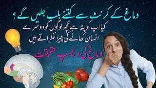Interesting facts about the brain and learning in Urdu hindi | Urdu Science Channel