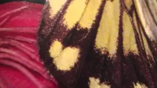 Изготовление скроев детских пальто из овчины.Production of tailor children's coat made of sheepskin.