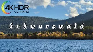 Schwarzwald Oktober 2025 #germany #trending #travel #nature #fyp #viral #iphone #trend #4k #october 