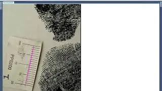 Foot Print search on Forensic Comparison Software