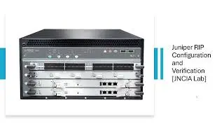 Juniper RIP Configuration Step by Step JNCIA Lab