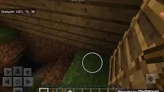 Петушачие приключение1