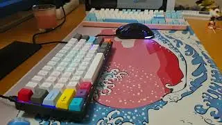 Typing Gk61 / Gateron Silent Clear(37g)