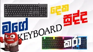 මගේ KEYBOARD දෙක සුද්ද කරා | @Tortoise242 #keyboard #gaming #Tortoise 