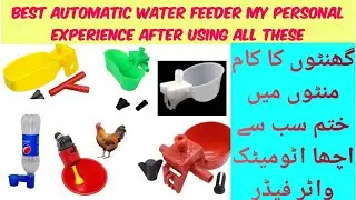Best Automatic watering system for Hens #poultry  #parttimebusiness #fancypoultry #rooftoppoultry