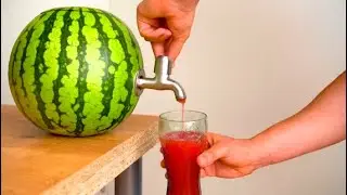 Watermelon new experiment 2020