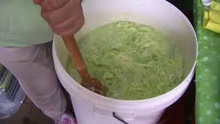 zuurkool