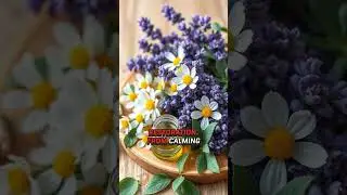 Healing Through Nature Passed Down for Generations At Holy Natural