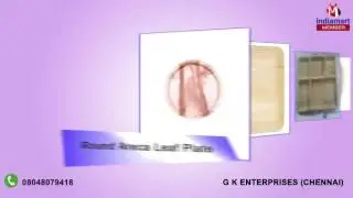 Areca Leaf Plate and Bowl By G K Enterprises, Chennai