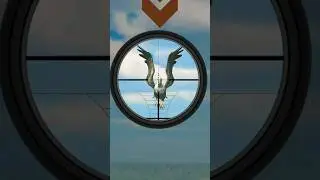 Wild Animal Hunter Game जानवर वाला गेम #shorts